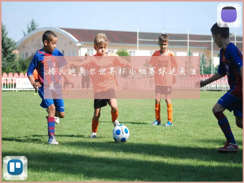 格瓦迪奥尔世界杯小组赛球迷关注度