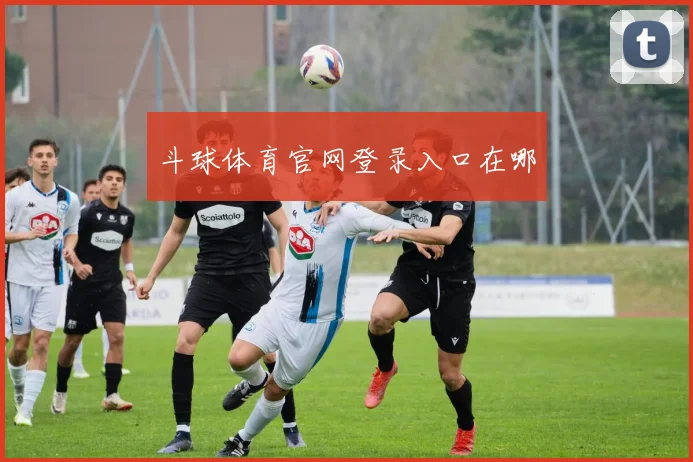 斗球体育官网登录入口在哪