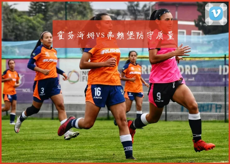 霍芬海姆vs弗赖堡防守质量