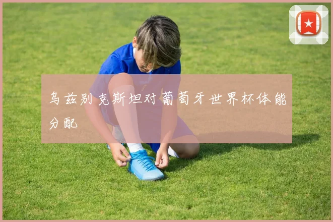 乌兹别克斯坦对葡萄牙世界杯体能分配