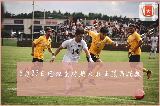 6月25日巴拉圭对澳大利亚黑马指数